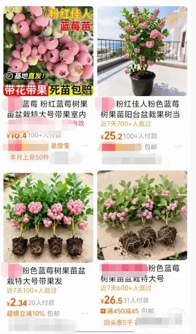 电商平台截图