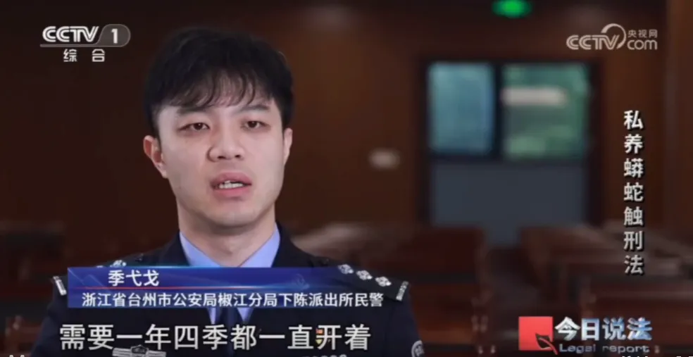 毛骨悚然！男子小区里养300多条蟒蛇