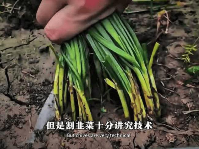 拒绝接盘，是这一代人对时代最大的反击