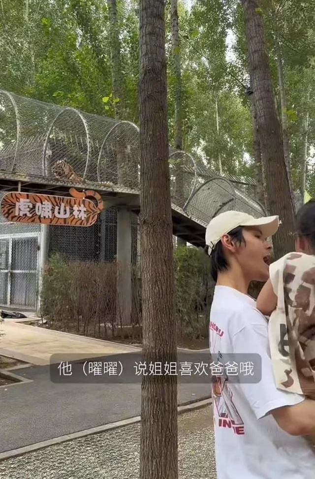 文章配图-8