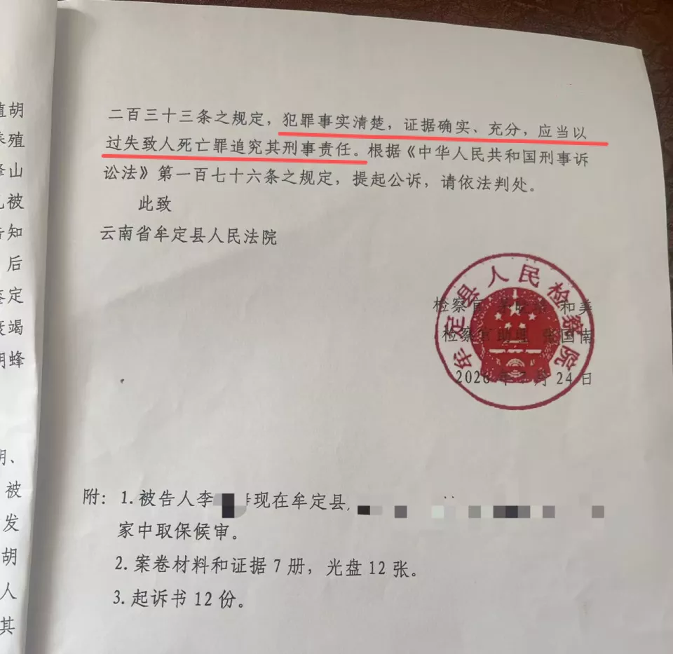 云南胡蜂蜇亡两幼童案一审择期宣判，家属回应