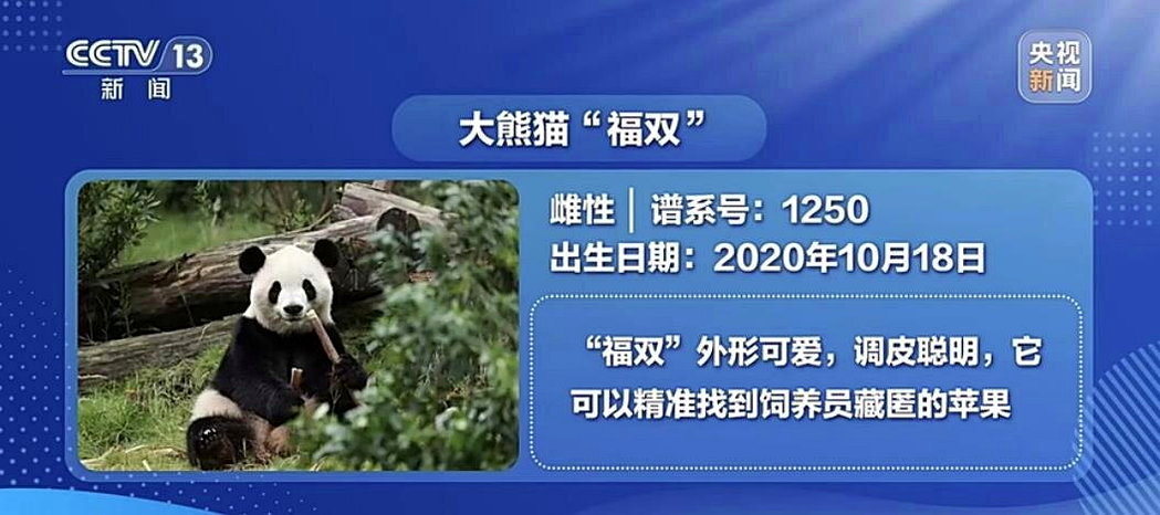 大陆国家主席习近平23日至25日对美国进行国是访问。他于24日在白宫宣布,两只大... 大陆国家主席习近平23日至25日对美国进行国是访问。他于24日在白宫宣布,两只大...